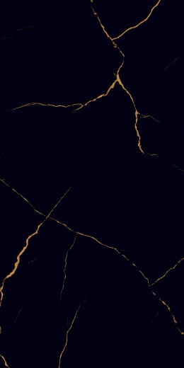 BELVERDE BLACK tile